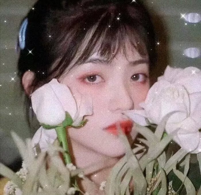 2025青春芒果夜