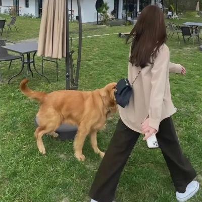 嗨！营业中第三季